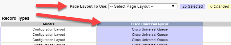 Record Types Column Selection