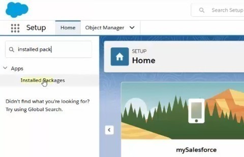 Installed Packages - setup search