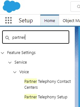 Voice in Setup Voice in Setup