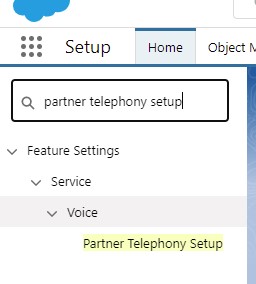 Voice in Setup Voice in Setup