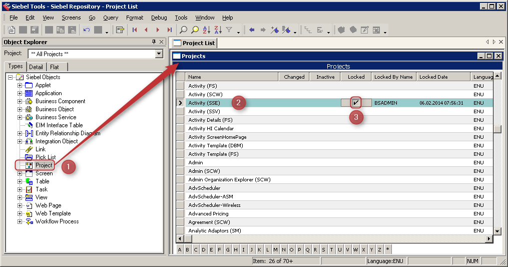 Siebel Tools Lock Project - Activity Siebel Tools Lock Project - Activity