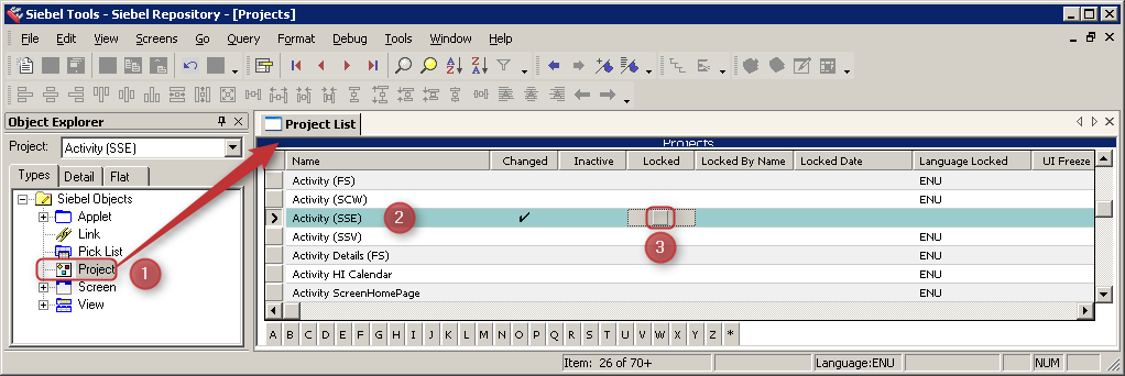 Siebel Tools Unlock Project - Activity Siebel Tools Unlock Project - Activity